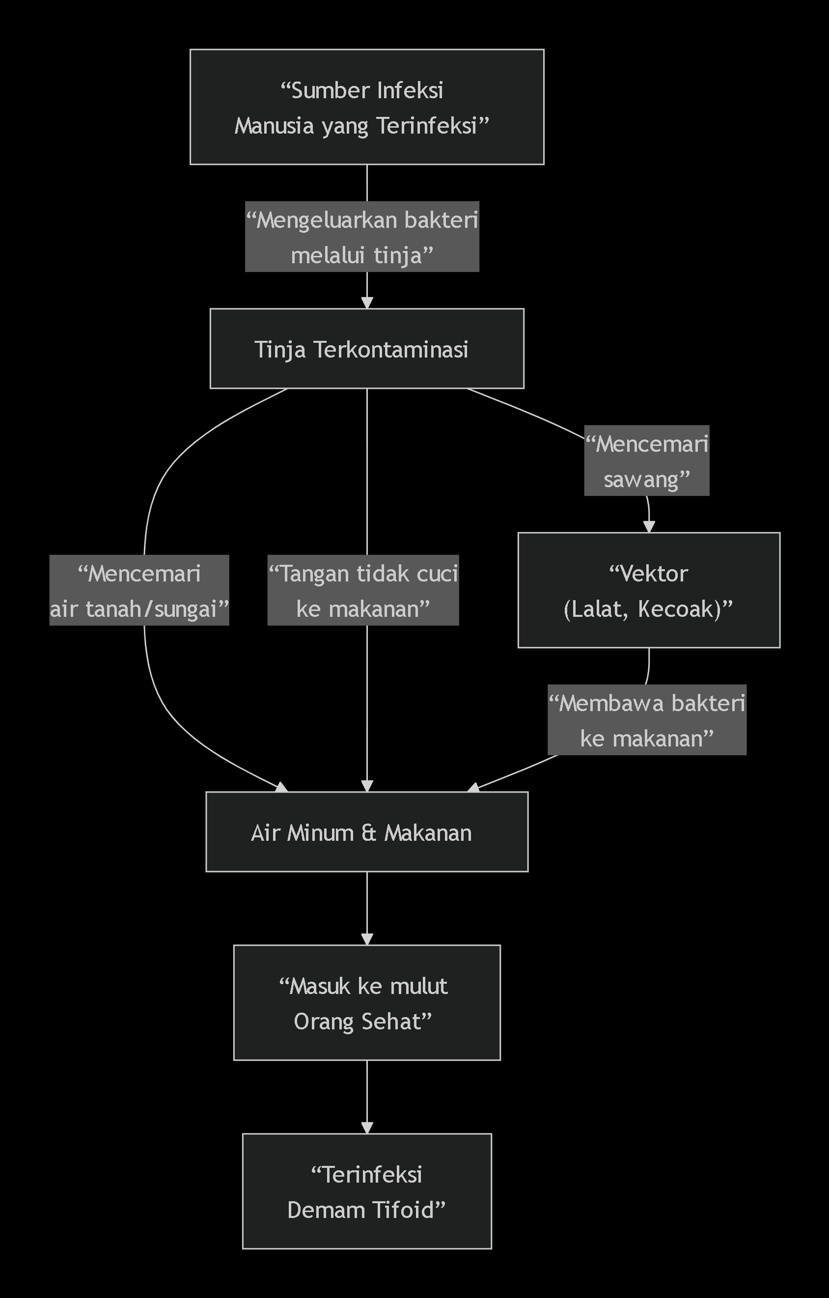 rantai penularan TYFOID